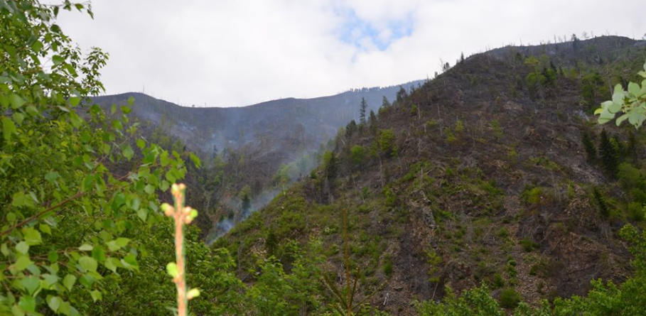 După 4 zile de luptă cu focul, incendiul de la Borșa a fost lichidat (GALERIE FOTO)