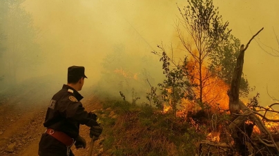 Apelul pompierilor maramureșeni: „Vă rugăm insistent să renunțați la arderea vegetației uscate și a miriștilor!”