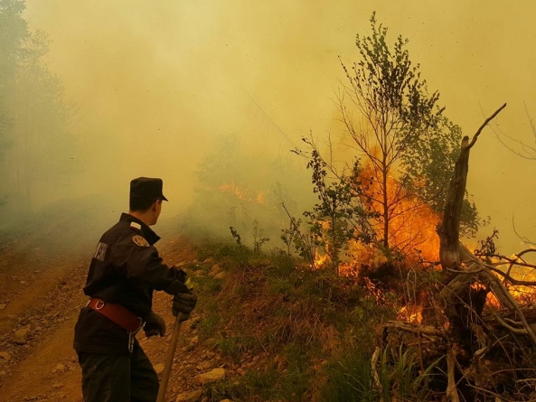 Incendiu de vegetație pe două hectare
