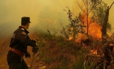 Incendiu de vegetație la Mogoșești