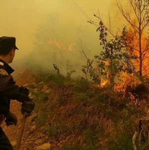 Incendiu de vegetație la Mogoșești