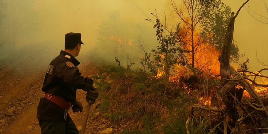 Incendiu de vegetație la Fersig –  10 hectare mistuite de flăcări