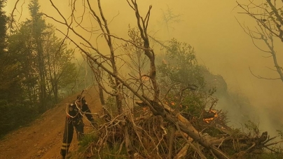 Trist: Peste 20 de incendii de vegetație în weekend