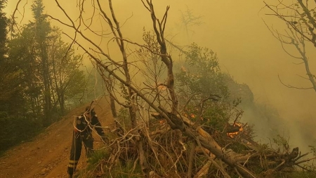 Trist: Peste 20 de incendii de vegetație în weekend