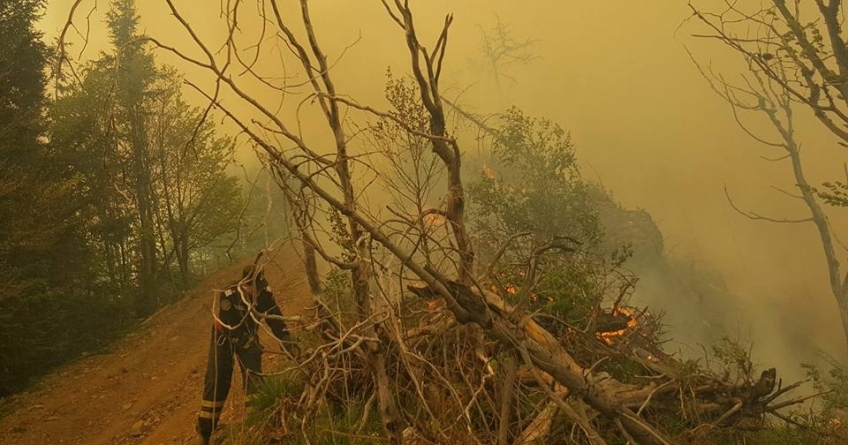Trist: Peste 20 de incendii de vegetație în weekend
