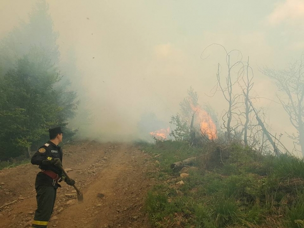 Au reînceput incendiile de vegetație; Care sunt sfaturile pompierilor