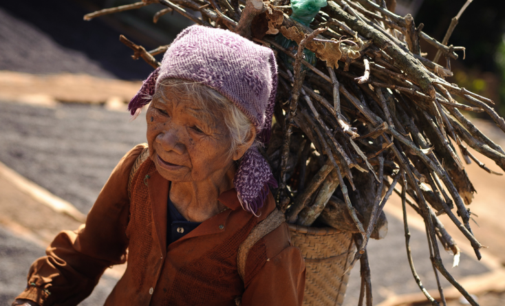 O bătrână  amendată fiindcă transporta  342 de surcele pentru care nu avea acte legale