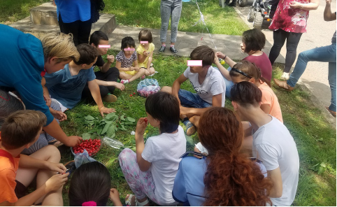 ”La cireșe” în varianta polițiștilor, nu a lui Creangă