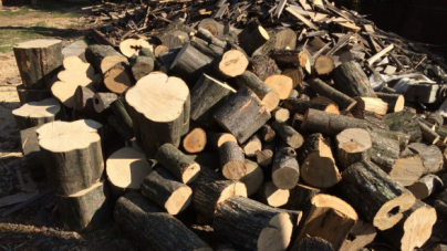 Fapte ilegale în domeniul silvic: Peste 170 mc de material lemnos confiscat în weekend de polițiștii maramureșeni