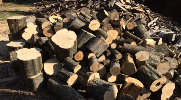 Fapte ilegale în domeniul silvic: Peste 170 mc de material lemnos confiscat în weekend de polițiștii maramureșeni