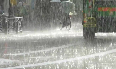 Cod galben în Maramureș