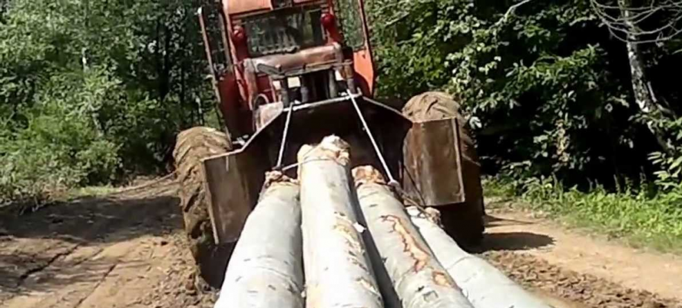 Minor din Borșa, implicat în tăieri de arbori din zona protejată a parcului național Munții Rodnei