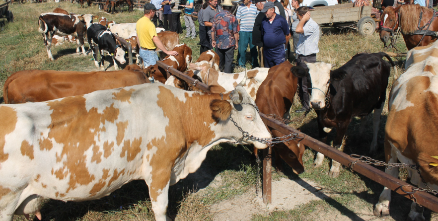 Toate târgurile de animale din județ vor fi închise