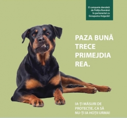 Hoț prins și 3.300 de euro restituiți păgubașului