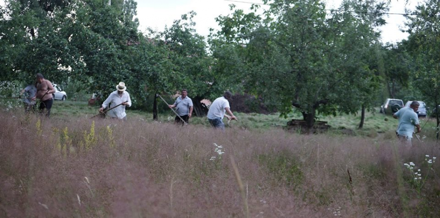 Clacă de coasă la vreme de cod galben și de campionat mondial de fotbal (GALERIE FOTO)
