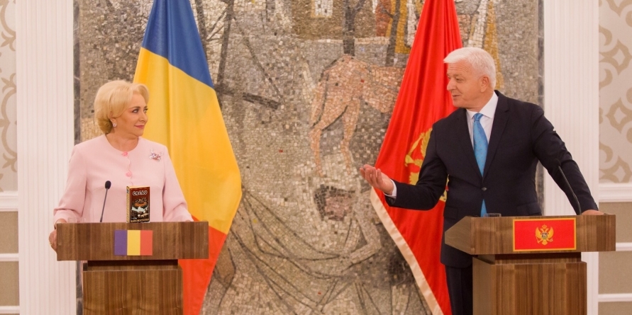 Export ilegal de cacao pe filiera guvernului român (VIDEO)