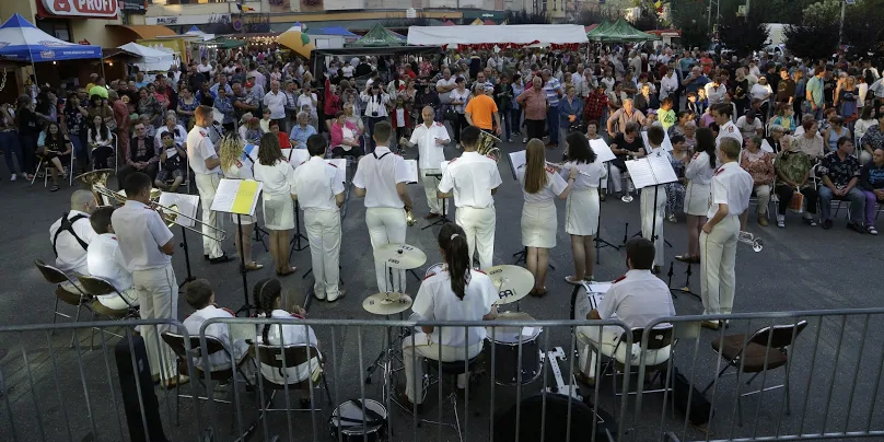 Oaspeți de seamă la Zilele Oraşului Seini, ”Cetatea Zynir”