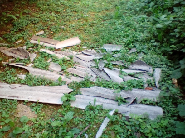 Șarpantele care prezintă riscuri ar putea fi dezafectate