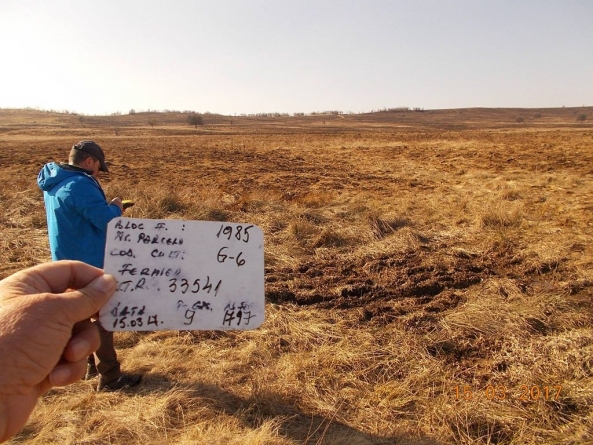 Inspectorii APIA își fac minivacanța pe teren