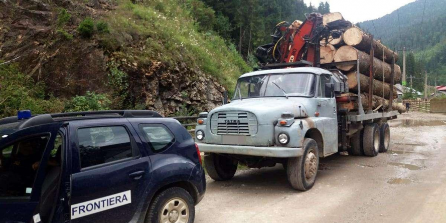Amenda a fost mai mare decât valoarea lemnului furat