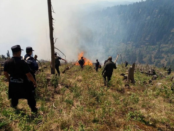 Zeci de hectare de vegetație uscată au ars în ultimele zile