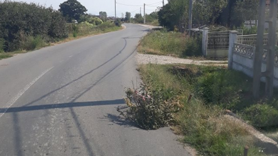 Trendul bio-eco se impune tot mai mult în circulația rutieră