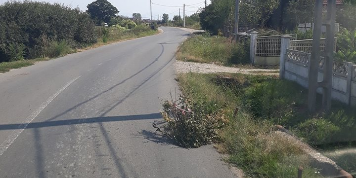 Trendul bio-eco se impune tot mai mult în circulația rutieră