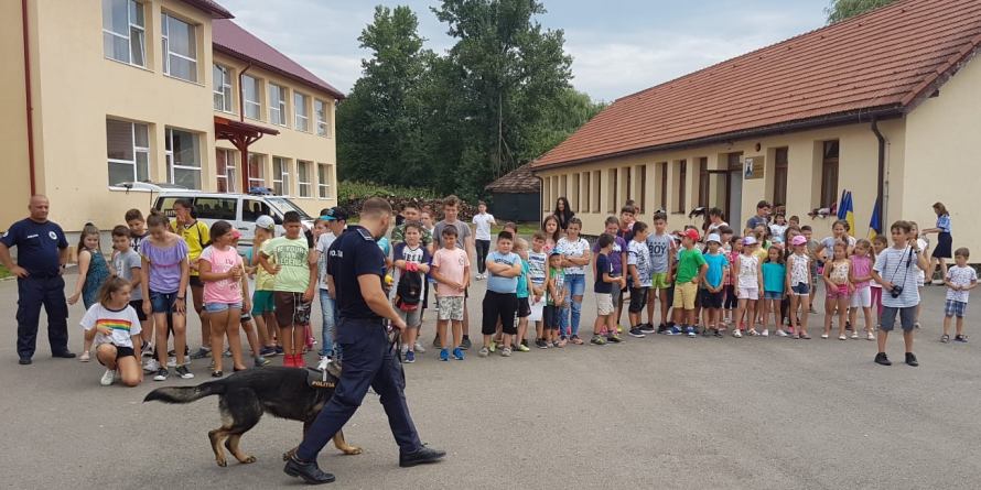 Câinii poliţişti Teba şi Vis –  demonstrații de… vis la Dumbrăvița