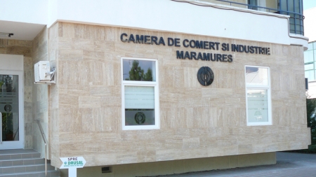 Seminar online de informare în domeniul Muncii și Protecției Sociale