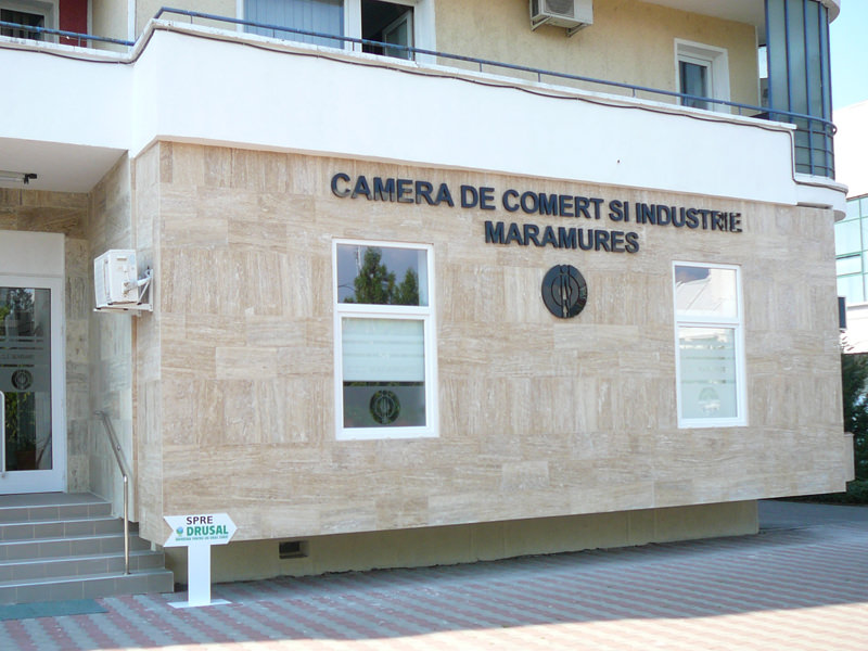 Seminar online de informare în domeniul Muncii și Protecției Sociale