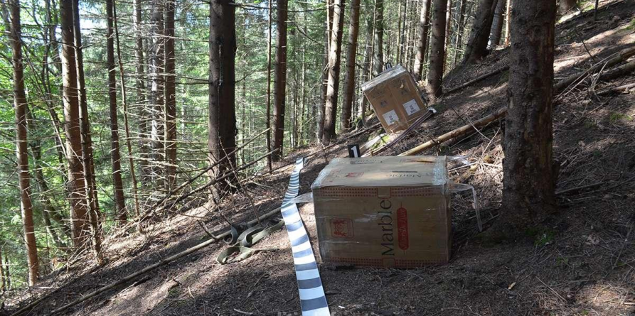 ”Mă dusei să trec la Tisa”, în altă interpretare, de 68.500 lei