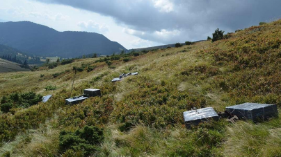 Peste 30.000 de euro  valorează ultima recoltă de țigări