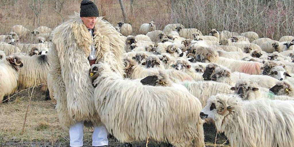 Extreme de Maramureș: 66 de fermieri nonagenari și doar 48 sub 20 de ani