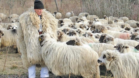 Extreme de Maramureș: 66 de fermieri nonagenari și doar 48 sub 20 de ani