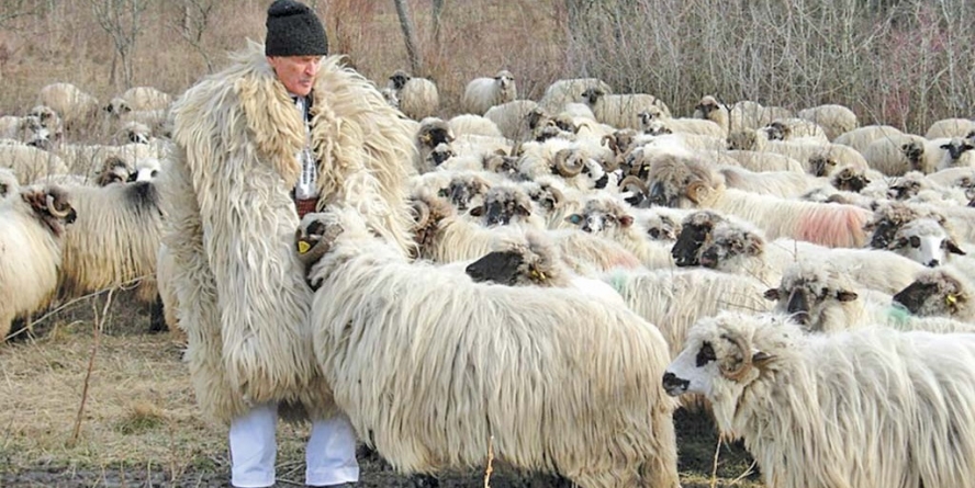 Extreme de Maramureș: 66 de fermieri nonagenari și doar 48 sub 20 de ani