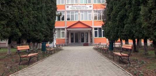 În Baia Mare, admitere la  Arte Plastice, specializarea pictură