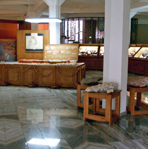 „Operă pentru băimăreni” la Muzeul de Mineralogie Baia Mare
