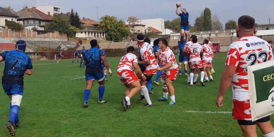 Zimbrii au luat toate punctele de la câinii roșii