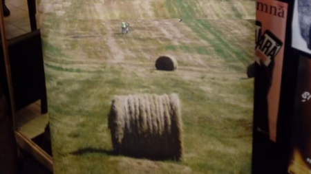 Cooperativele revin la modă în agricultură