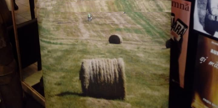 Cooperativele revin la modă în agricultură