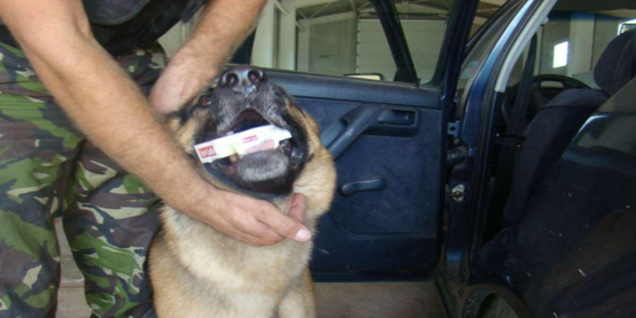 Din cauza unui câine, a dat 18.000 de lei pe 54 cartușe de țigări