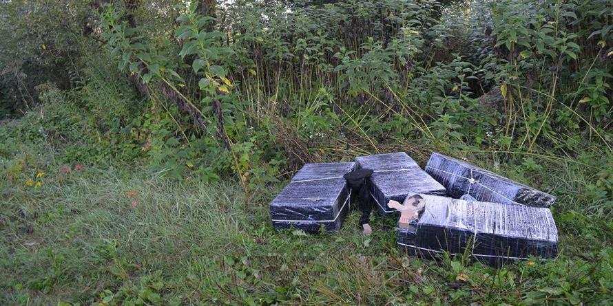 Țigarete pe fâșii/ Hai să le-adunăm copii!