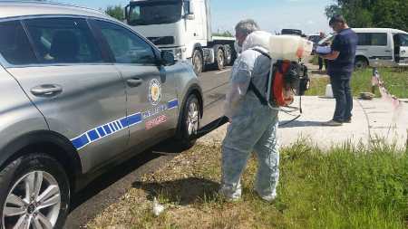 A fost identificat bărbatul care a adus în județ porci bolnavi de pestă africană