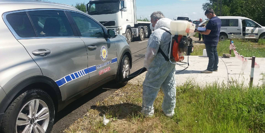 A fost identificat bărbatul care a adus în județ porci bolnavi de pestă africană