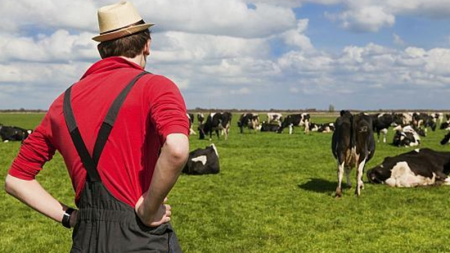 S-au epuizat fondurile nerambursabile pentru dezvoltarea fermelor mici