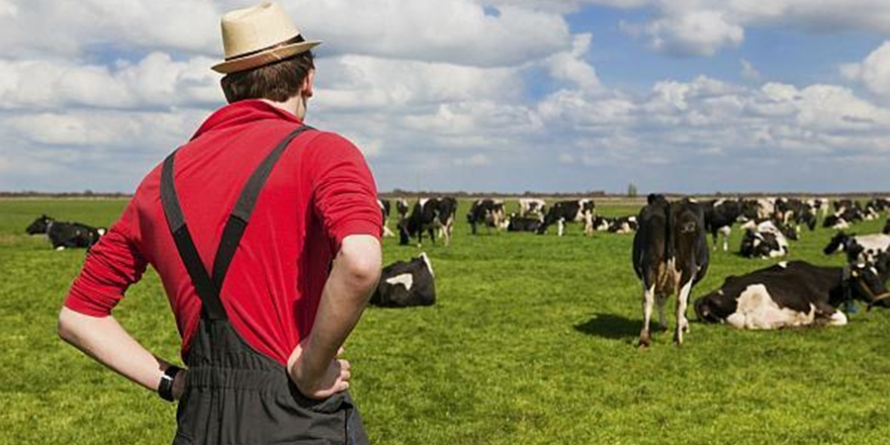 S-au epuizat fondurile nerambursabile pentru dezvoltarea fermelor mici