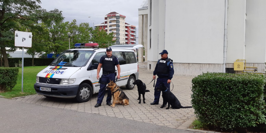De la Castane a ajuns rapid în arest