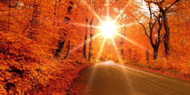 Azi, vreme bună de ”Castane 2018”