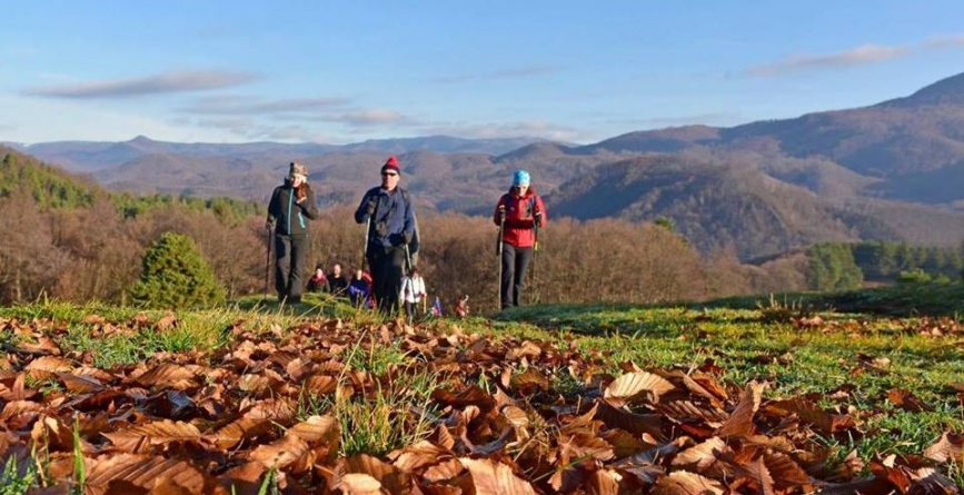 Drumeție în Poiana Șeituri
