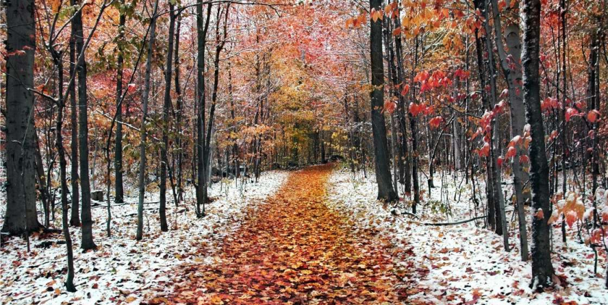 Vremea exactă în Maramureș, marți, 28 noiembrie